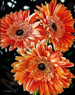 Passion of Fire Flowers - Print - Image 2