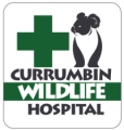 Currumbin Wildlife Hospital